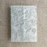 "Maeve botany fern printed vellum wrap for 5x7 card | pack of 10" - Invitation Jackets and Overlays in green by Ivory Invitations