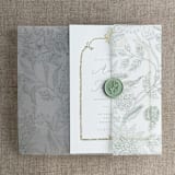"Maeve botany fern printed vellum wrap for 5x7 card | pack of 10" - Invitation Jackets and Overlays in green by Ivory Invitations