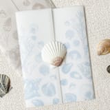 "Seashell Vellum Jackets | Set of 10 | Blue & Green Color Options" - Invitation Jackets and Overlays in multicolorassorted-colors by Megan Tendler