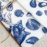 "Seashell Vellum Jackets | Set of 10 | Blue & Green Color Options" - Invitation Jackets and Overlays in multicolorassorted-colors by Megan Tendler