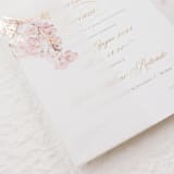 "Cherry Blossom Vellum Jacket, Set of 10" - Invitation Jackets and Overlays in white by Self Stationery