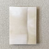 "Neutral Watercolor Vellum Jacket for Wedding Invitations | A7 | Set of 10" - Invitation Jackets and Overlays in beige by Cotton and Bow