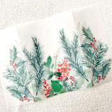 "Holly Pine Berries Vellum Jacket | Set of 10" - Invitation Jackets and Overlays in multicolorassorted-colors by Megan Tendler