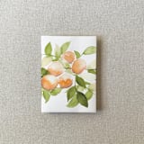 "Oranges Vellum Jacket for Wedding Invitations | A7 | Set of 10" - Invitation Jackets and Overlays in orange by Cotton and Bow