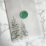 "Simple Evergreen Greenery Vellum Jackets (10 Pack)" - Invitation Jackets and Overlays in clear by Carley Zuercher