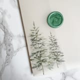 "Simple Evergreen Greenery Vellum Jackets (10 Pack)" - Invitation Jackets and Overlays in clear by Carley Zuercher