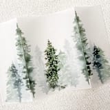 "Pine Forest Vellum Jacket | Set of 10" - Invitation Jackets and Overlays in green by Megan Tendler