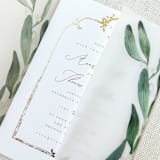 "Winter Berries Vellum Jacket | Set of 10" - Invitation Jackets and Overlays in green by Megan Tendler