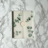 "Eucalyptus Vellum Wrap (10 pack)" - Invitation Jackets and Overlays in clear by Carley Zuercher