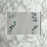 "Eucalyptus Vellum Wrap (10 pack)" - Invitation Jackets and Overlays in clear by Carley Zuercher