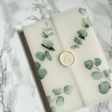 "Eucalyptus Vellum Wrap (10 pack)" - Invitation Jackets and Overlays in clear by Carley Zuercher