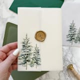 "Evergreen Tree Vellum Jackets (10 Pack)" - Invitation Jackets and Overlays in clear by Carley Zuercher
