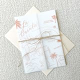 "La Quinta Vellum Jackets | Set of 10" - Invitation Jackets and Overlays in multicolorassorted-colors by Megan Tendler