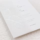 "Monstera Leaves Silver Foil Stamping on White Vellum Wraps, Set of 10" - Invitation Jackets and Overlays in silver by Self Stationery