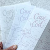"Cape Cod Vellum Jackets | Set of 10 | Pink & Neutral Color Options" - Invitation Jackets and Overlays in multicolor by Megan Tendler