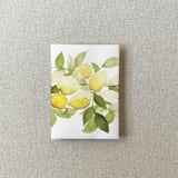 "Lemon Vellum Jacket for Wedding Invitations | A7 | Set of 10" - Invitation Jackets and Overlays in yellow by Cotton and Bow
