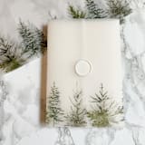 "Evergreen Greenery Vellum Jackets (10 Pack)" - Invitation Jackets and Overlays in clear by Carley Zuercher