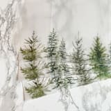 "Evergreen Greenery Vellum Jackets (10 Pack)" - Invitation Jackets and Overlays in clear by Carley Zuercher