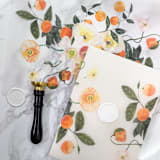 "Orange Floral Vellum Jacket (10 Pack)" - Invitation Jackets and Overlays in clear by Carley Zuercher