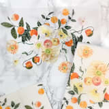 "Orange Floral Vellum Jacket (10 Pack)" - Invitation Jackets and Overlays in clear by Carley Zuercher