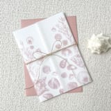 "Seashell Vellum Jacket | Set of 10 | Neutral & Pink Color Options" - Invitation Jackets and Overlays in multicolor by Megan Tendler