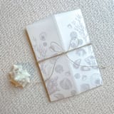 "Seashell Vellum Jacket | Set of 10 | Neutral & Pink Color Options" - Invitation Jackets and Overlays in multicolor by Megan Tendler