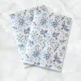 "Blue Chinoiserie Vellum Jackets (Set of 10)" - Invitation Jackets and Overlays in blue by Caroline Russo