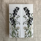 "Eleanor black floral botanic garden printed vellum wrap for 5x7 card | pack of 10" - Invitation Jackets and Overlays in black by Ivory Invitations