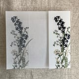 "Eleanor black floral botanic garden printed vellum wrap for 5x7 card | pack of 10" - Invitation Jackets and Overlays in black by Ivory Invitations