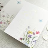"Wildflower Vellum Jacket for 5x7 Wedding Invitations, Floral and Butterfly Translucent Wrap | Set of 10" - Invitation Jackets and Overlays in white by Self Stationery