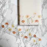 "Row of Poppies Vellum Jacket (10 pack)" - Invitation Jackets and Overlays in clear by Carley Zuercher