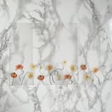"Row of Poppies Vellum Jacket (10 pack)" - Invitation Jackets and Overlays in clear by Carley Zuercher