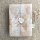 "Abstract stucco brush stroke painting printed vellum wrap for 5x7 card  | pack of 10" - Invitation Jackets and Overlays in beige by Ivory Invitations