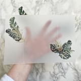 "Tropical Faux Gold Foil Vellum Wraps (10 pack)" - Invitation Jackets and Overlays in clear by Carley Zuercher