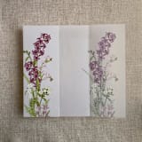 "Eleanor purple and blush floral botanic garden printed vellum wrap for 5x7 card | pack of 10" - Invitation Jackets and Overlays in purple by Ivory Invitations