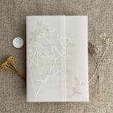 "White ink print minimalist baby's breath flower printed vellum wrap for 5x7 card  | pack of 10" - Invitation Jackets and Overlays in white by Ivory Invitations
