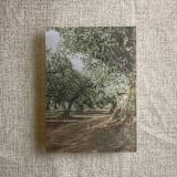 "Olive tree grove printed vellum overlay for 5x7 card | pack of 10" - Invitation Jackets and Overlays in green by Ivory Invitations