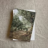 "Olive tree grove printed vellum overlay for 5x7 card | pack of 10" - Invitation Jackets and Overlays in green by Ivory Invitations