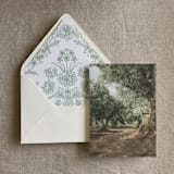 "Olive tree grove printed vellum overlay for 5x7 card | pack of 10" - Invitation Jackets and Overlays in green by Ivory Invitations