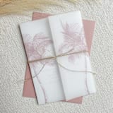 "Grand Palms Vellum Jacket | Set of 10 | Neutral and Pink Color Options" - Invitation Jackets and Overlays in multicolorassorted-colors by Megan Tendler