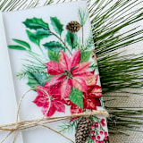 "Poinsettia & Pinecones Vellum Jacket | Set of 10" - Invitation Jackets and Overlays in green by Megan Tendler