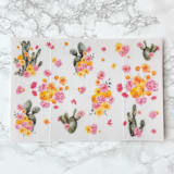 "Pink and Yellow Desert Cactus Vellum Jacket (10 Pack)" - Invitation Jackets and Overlays in clear by Carley Zuercher