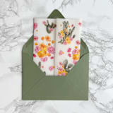 "Pink and Yellow Desert Cactus Vellum Jacket (10 Pack)" - Invitation Jackets and Overlays in clear by Carley Zuercher