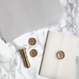 "Clear Vellum Jacket for Wedding Invitation (10 Pack)" - Invitation Jackets and Overlays in clear by Carley Zuercher