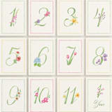 "Blooming Baby" - Baby Milestone Cards in Multi by Bayberry Kate - Months 1-12