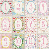 "Bows, Buds & Wonder Ahead" - Baby Milestone Cards in Multi by Pati Cascino - Months 1-12