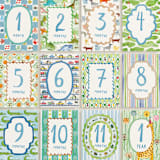 "Buckle Up!" - Baby Milestone Cards in Multi by Pati Cascino - Months 1-12