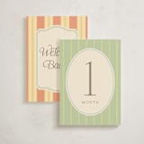 "Nantucket" - Baby Milestone Cards in Multi by Robert and Stella - Front