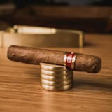 "Brass Cylinder Cigar Stand" - Decorative Storage in brass by Roarcraft