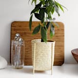 "Catchall Woven Basket with Stand" - Decorative Storage in beige by Jennifer Abelev